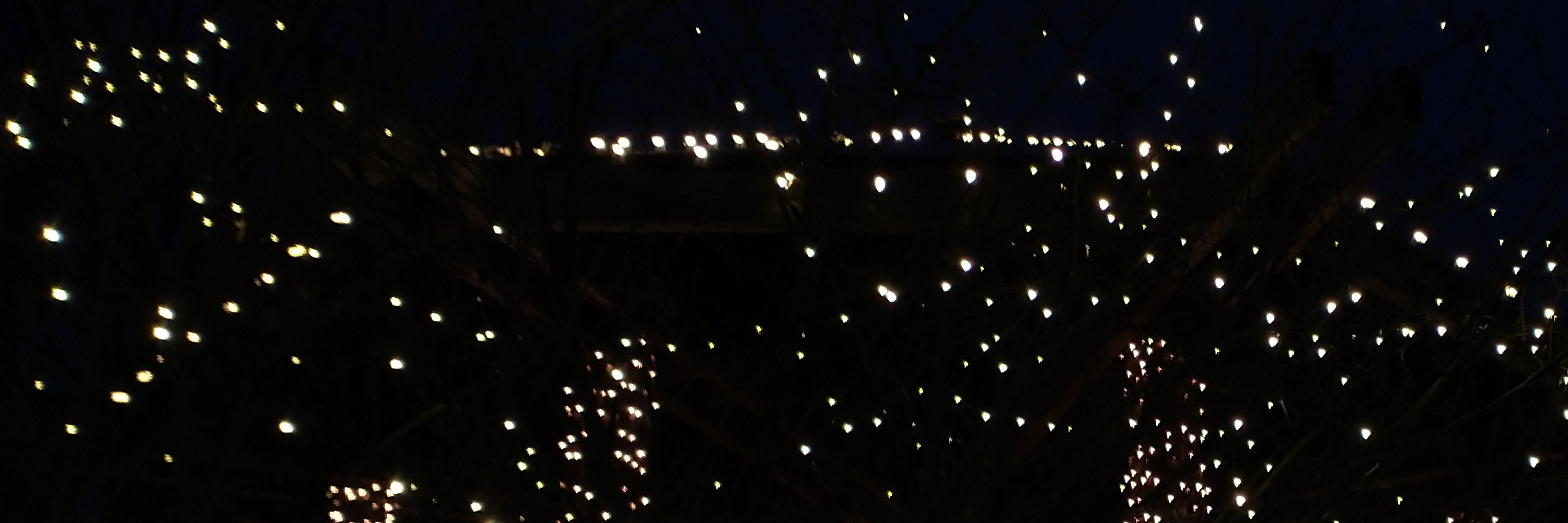 A nighttime shot of white Christmas lights with a dark background. The shot is close-up and cropped so it looks kind of like stars.